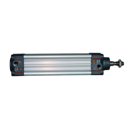 1213320100CN - CIL SERIE R3 32 X 100 NBR MAG