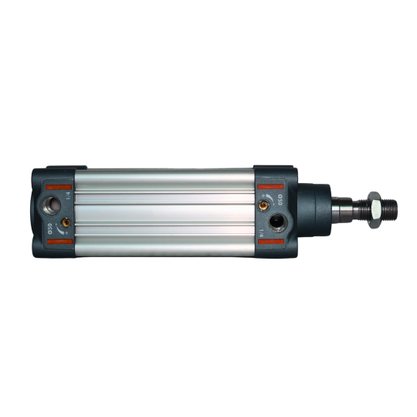 1213500080CN - CIL SERIE R3 50 X 80 NBR MAG