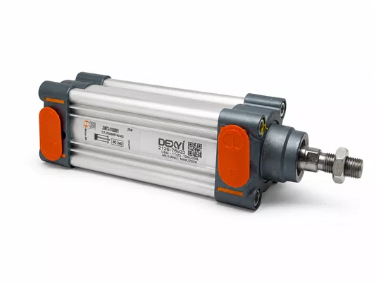 1213630060CN - CIL SERIE R3 63 X 60 NBR MAG
