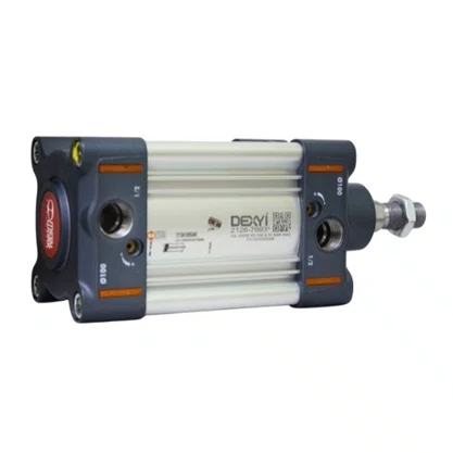 1213A10050AN - CIL SERIE R3 100 X 50 NBR MAG
