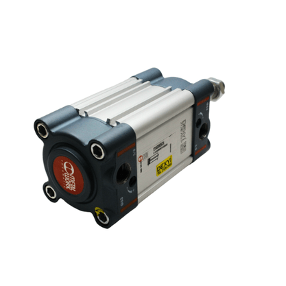 121A630025CN - CIL IA 63 X 25 NBR MAG