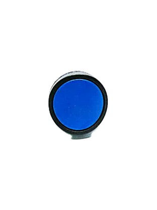 1460010640 - BOTAO PULSADOR 22MM AZ OPC 1NA