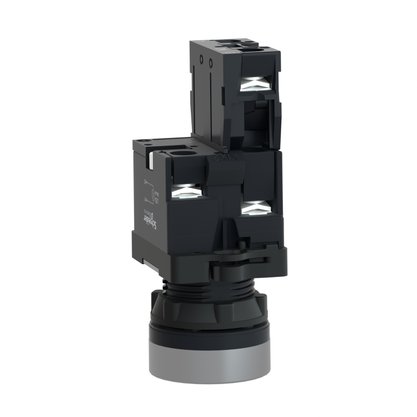 Botao Xa2Ew34B1 (Lumi. Led 24Vcc/1Na/Vm) Schneider