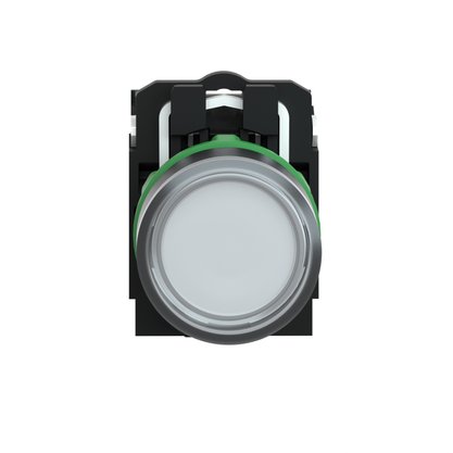 Botao Xb5Aw31B5 (Lumi./Led 24Vcc/Br) Schneider