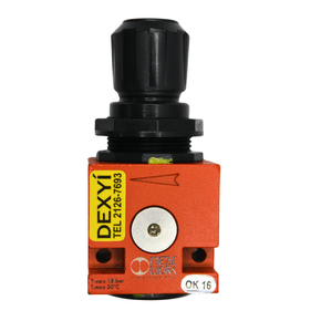 1202003 - REG PRESSAO ND 1/4 0~12