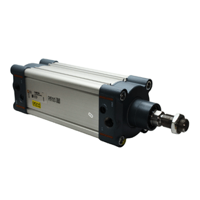 121A800125AN - CIL IA 80 X 125 NBR MAG