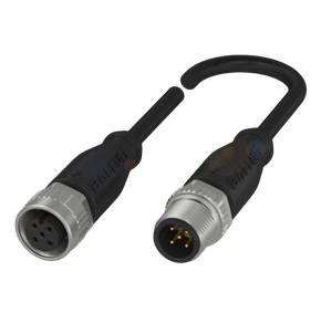 238864 - CABO EXT RETO MAC/FEM M12/M12 5 POLOS 0,30M PUR