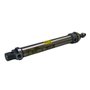 1120250125CN - CIL MI 25 x 125 NBR MAG