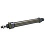 1120250125CN - CIL MI 25 x 125 NBR MAG