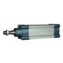 1213500080CN - CIL SERIE R3 50 X 80 NBR MAG