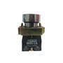 M20BFRB1A - BOTAO PLANO FC PULSADOR 22MM PR 1NA